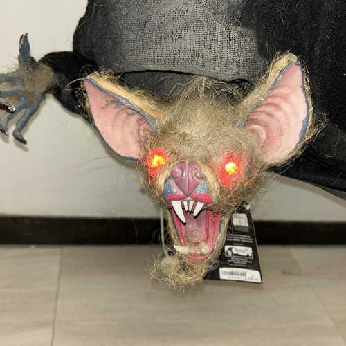 Light vampire bat - up,