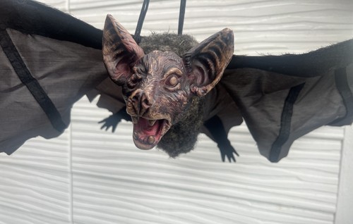Hanging vampire flying bat - hanging,
